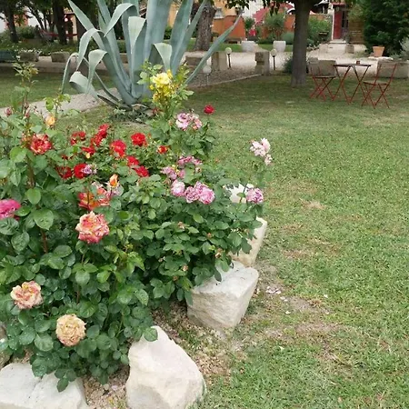 Bed & Breakfast Mas Maurane-chambre D'hote Avec Prive Aux Portes D'arles Tarascon